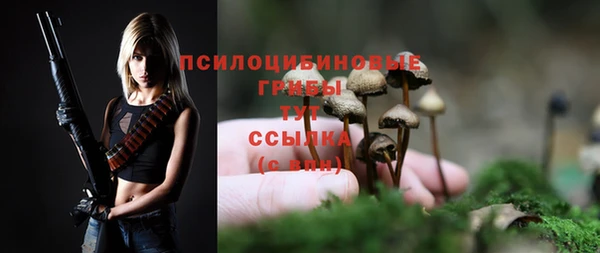 скорость Белокуриха