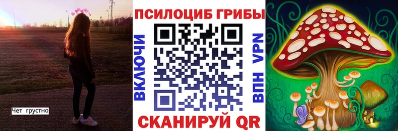 кракен ONION  Кодинск  Галлюциногенные грибы Cubensis 